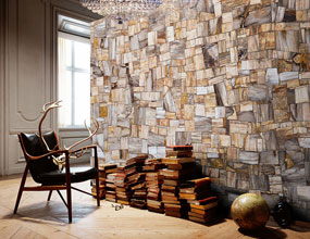 Jurassic Petrified Wood Jasper Living Room Wall Panel Design