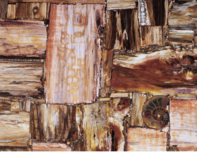 Retro Petrified Wood